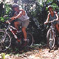 Mount bike riding on Tobago