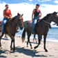 Horse back riding on Tobago