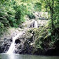 Nature trails and hiking on Tobago