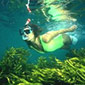 Snorkelling on Tobago